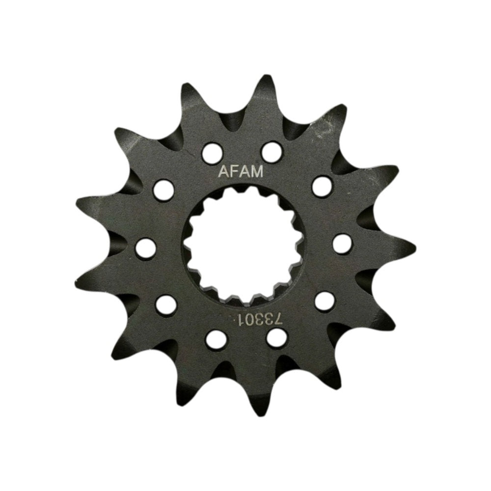 Pignone AFAM autopulente per BETA, GAS GAS, HUSABERG, HUSQVARNA, KTM, MAICO cod. A73301.14SC