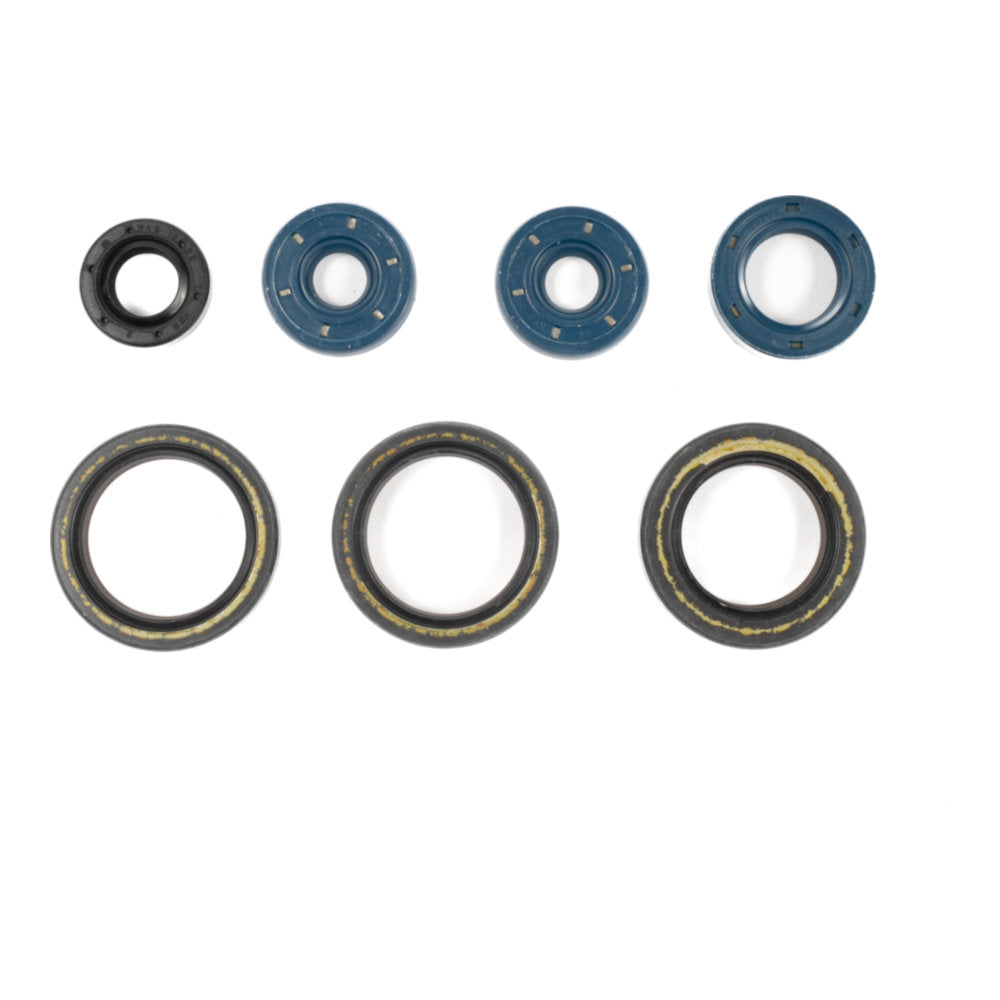 Serie paraoli motore per APRILIA cod. GU84011T