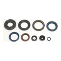 Serie paraoli motore per KTM cod. GU84120T
