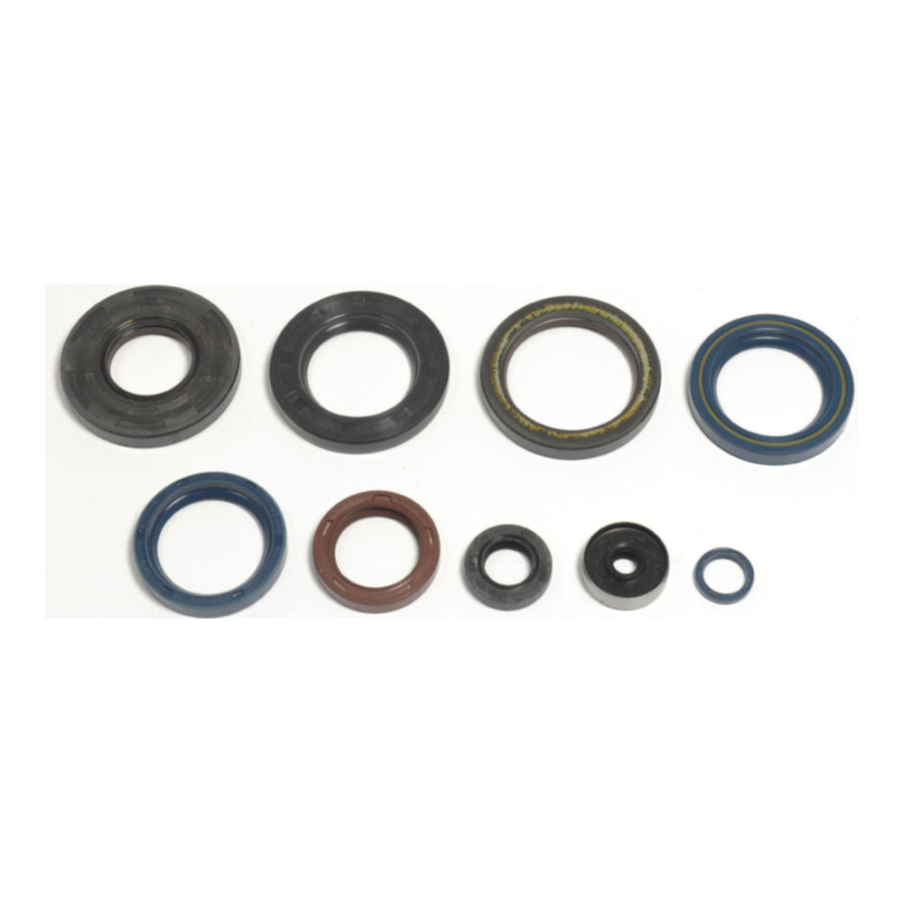 Serie paraoli motore per KTM cod. GU84120T