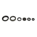 Serie paraoli motore RMZ 450 05-07 per SUZUKI cod. GU84179T