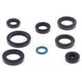 Serie paraoli motore per TM cod. GU84694T