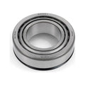 Cuscinetto canotto sterzo 30x55x17 mm (32006JRRS-2) cod. K241043