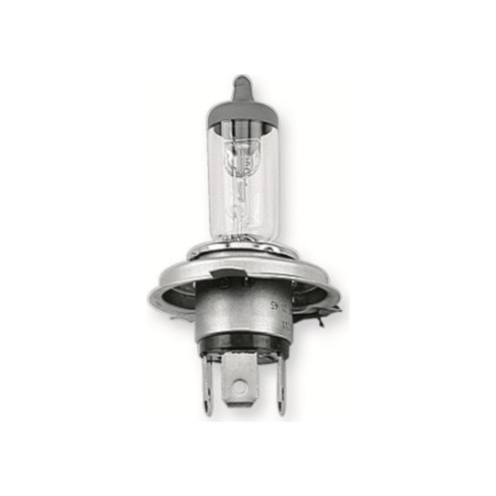 Lampadine HERT 60/55W P43t (10 pezzi) cod. LP8045