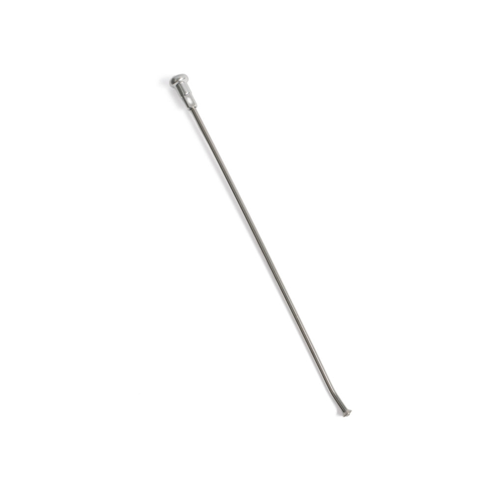Raggio con nipples HAAN WHEELS 21" per BETA cod. RN7101