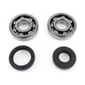 Kit cuscinetti albero motore e paraoli BWX per KAWASAKI cod. XCBK50003