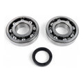 Kit cuscinetti albero motore e paraoli BWX per SUZUKI cod. XCBK70010